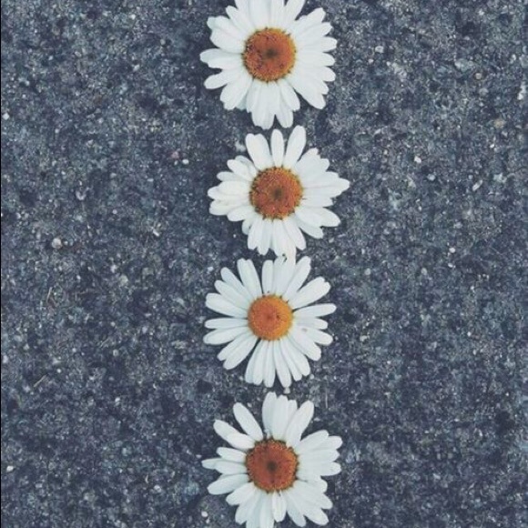 Meet your Posher, Julia - Picture 1 of 1